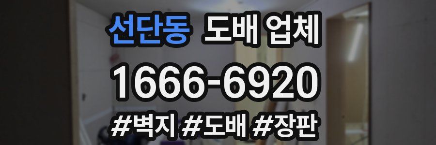 선단동 도배 업체