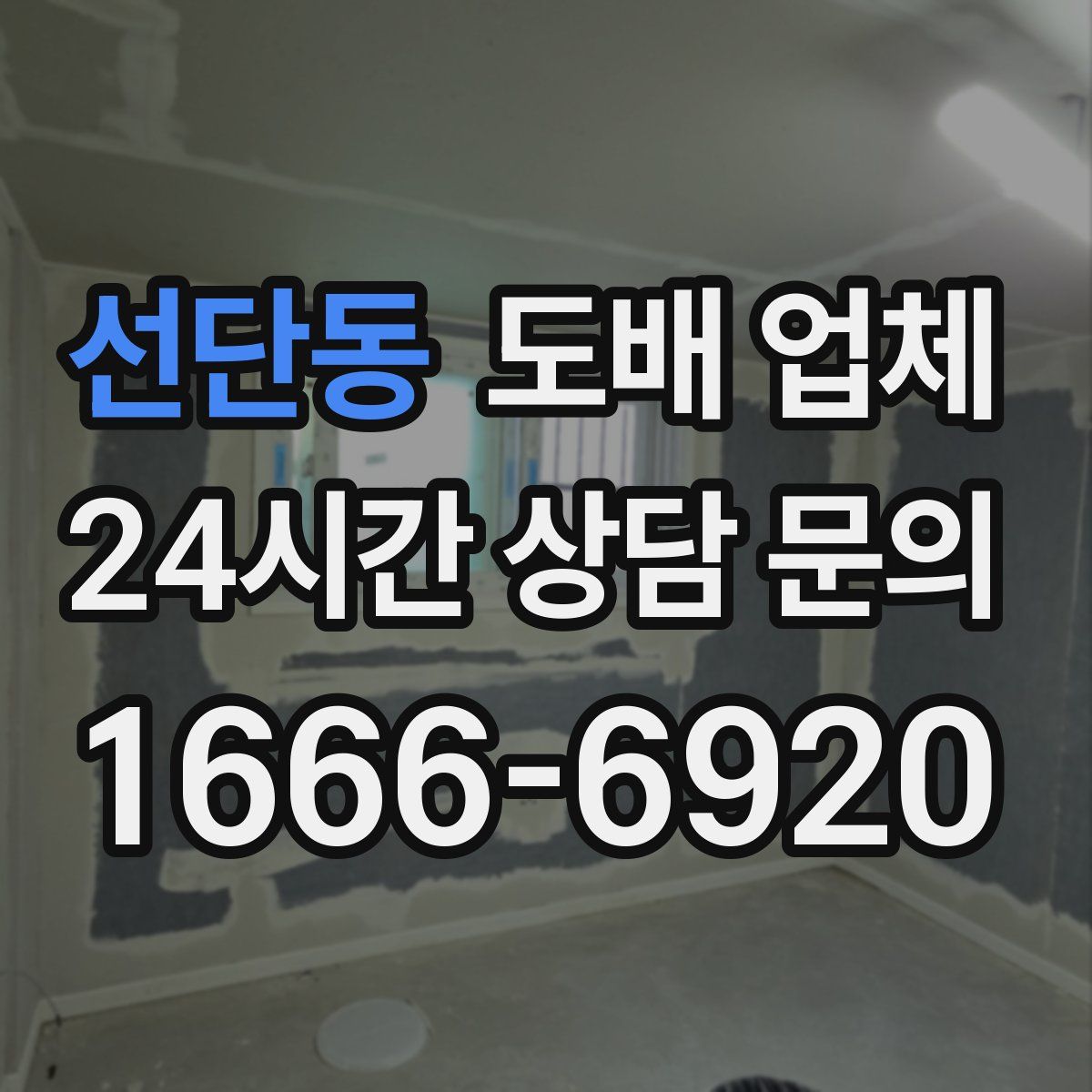 선단동 도배 업체