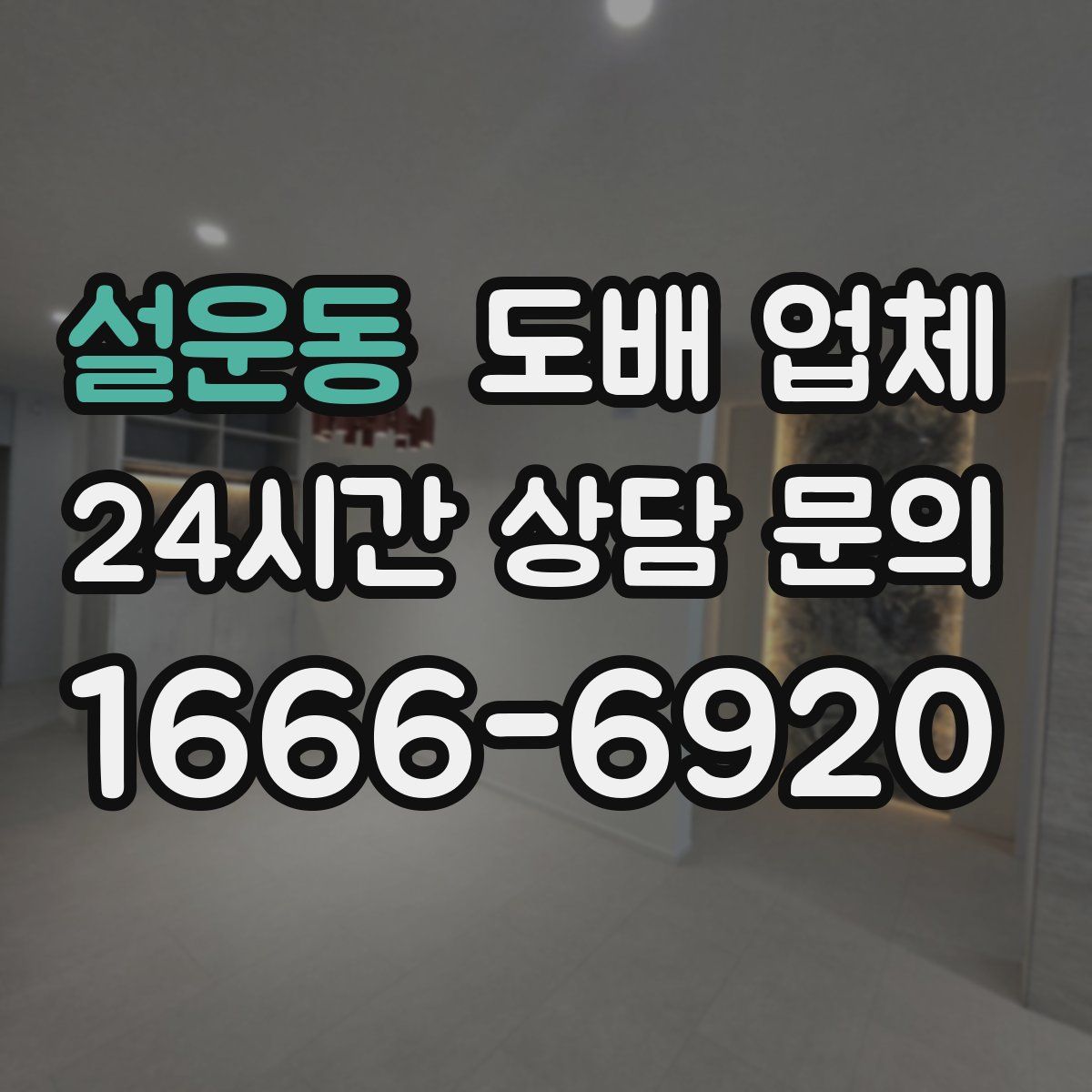 설운동 도배 업체