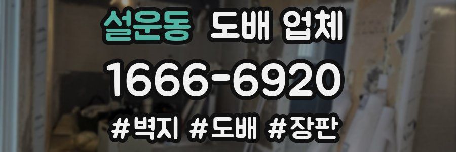 설운동 도배 업체
