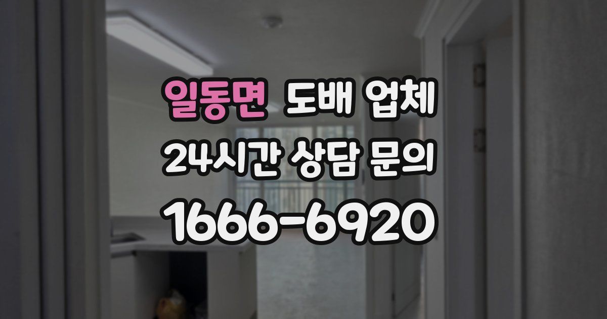 일동면 도배 업체
