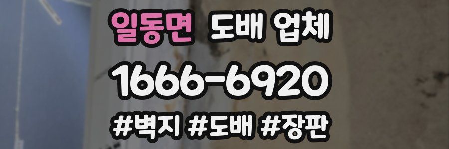 일동면 도배 업체