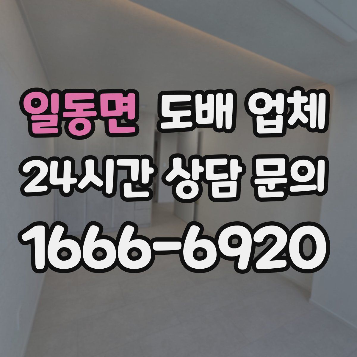 일동면 도배 업체