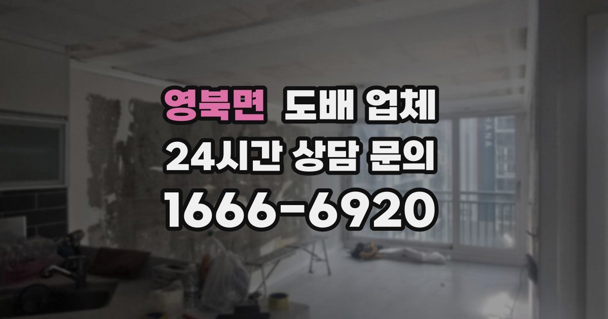 영북면 도배 업체