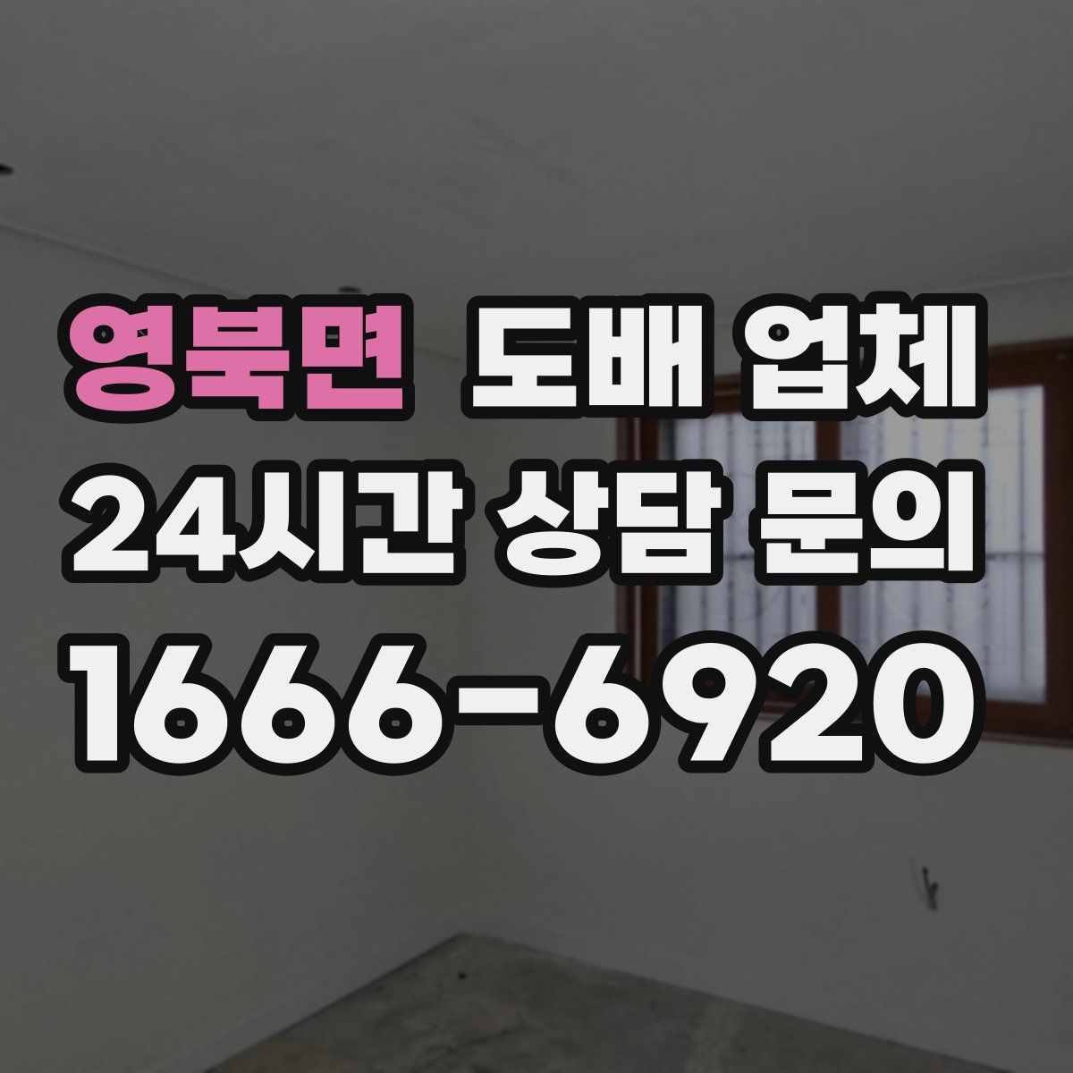 영북면 도배 업체