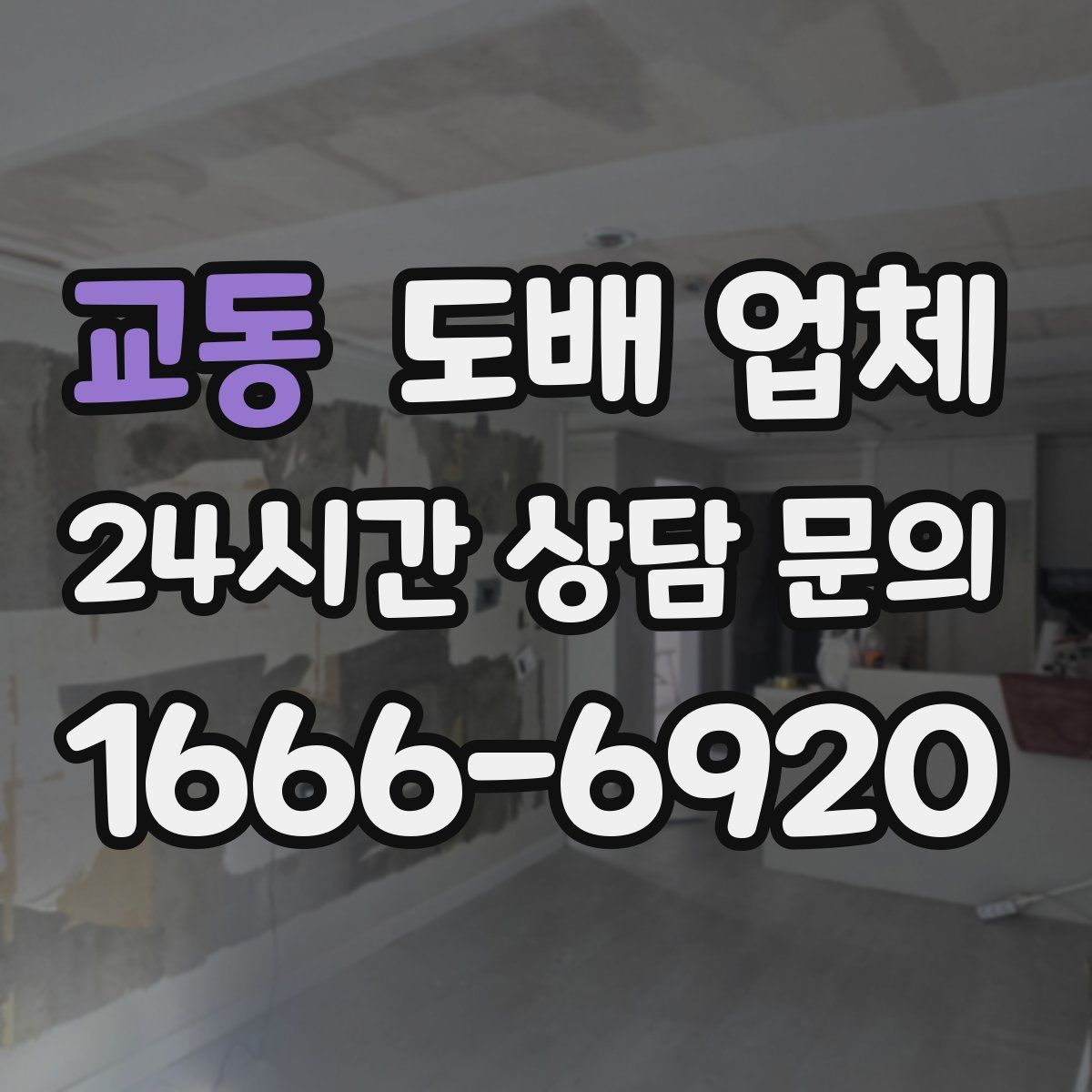 교동 도배 업체