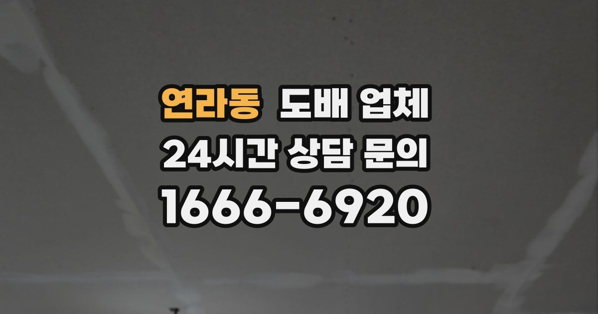 연라동 도배 업체