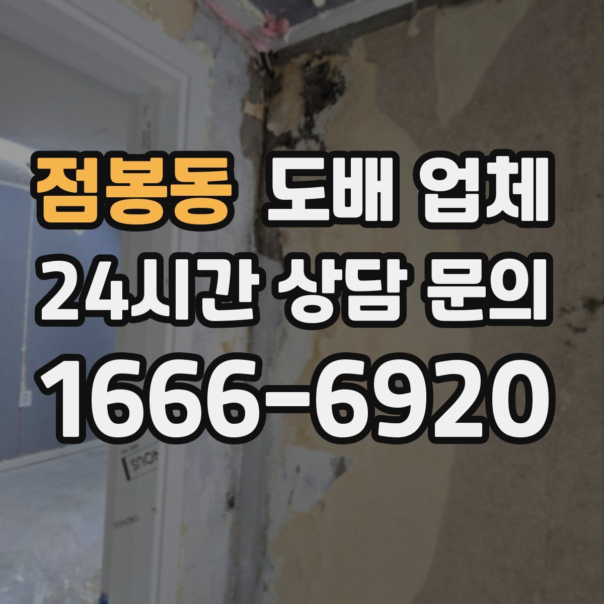 점봉동 도배 업체