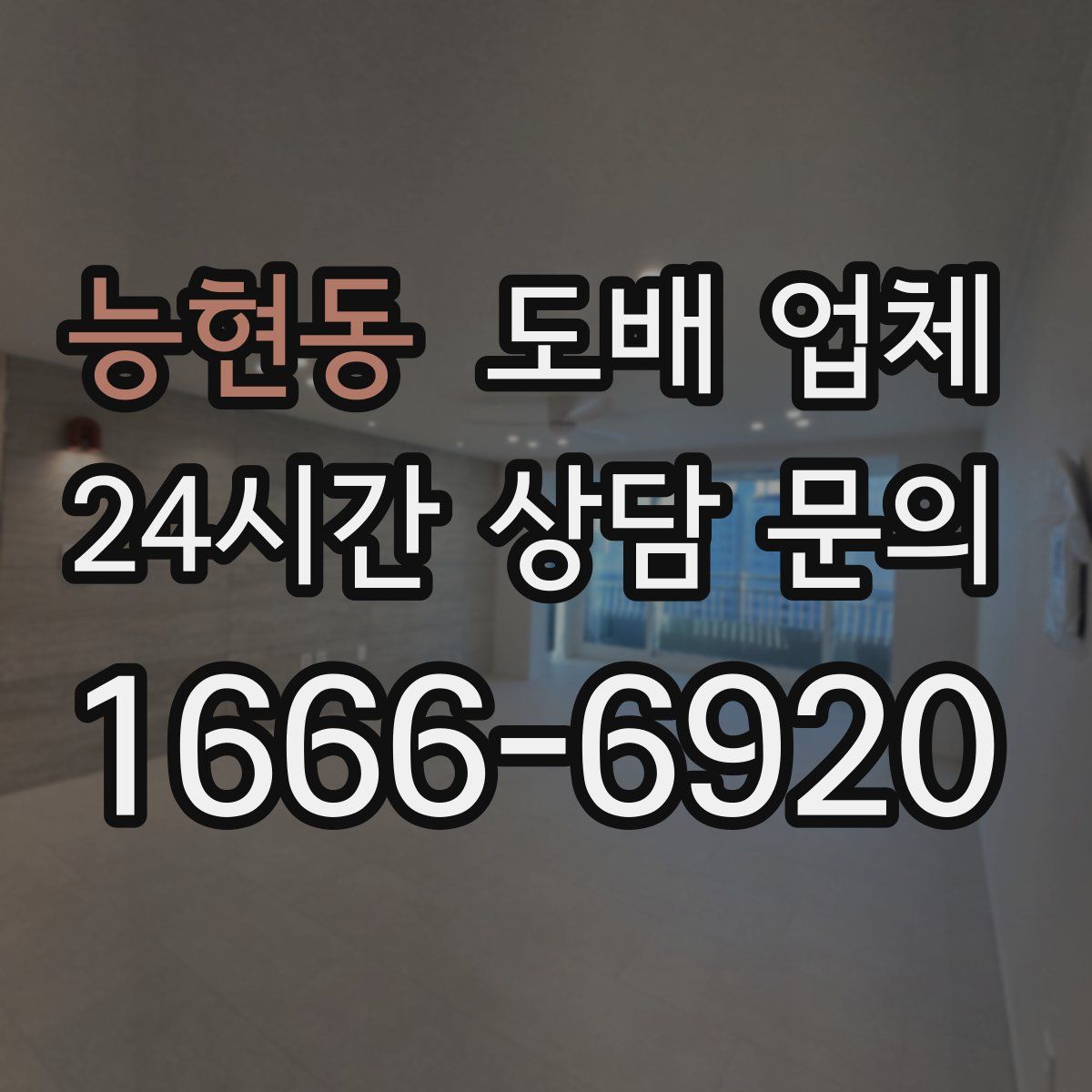 능현동 도배 업체