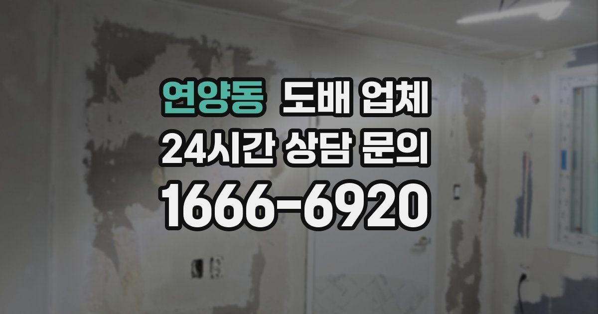 연양동 도배 업체