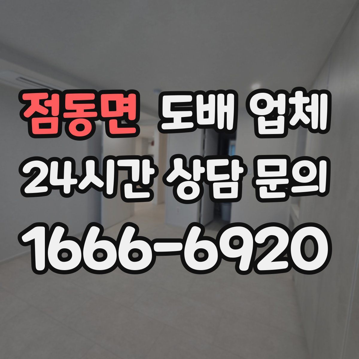 점동면 도배 업체