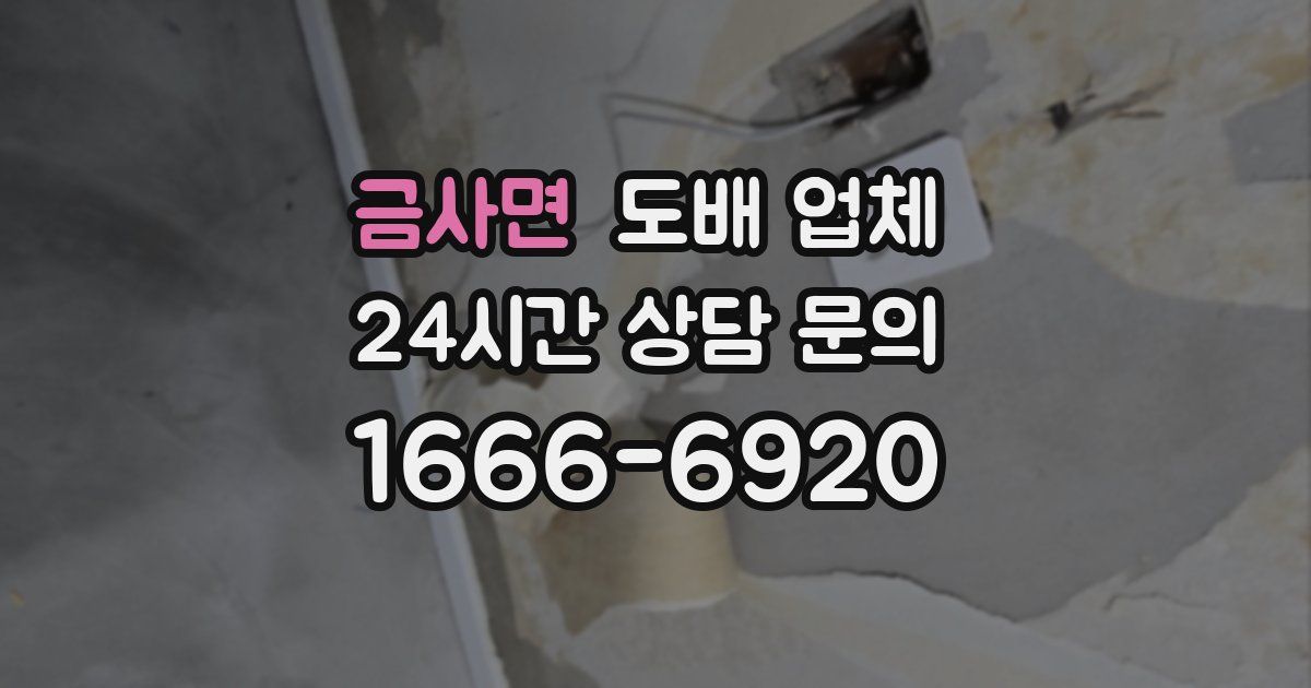 금사면 도배 업체