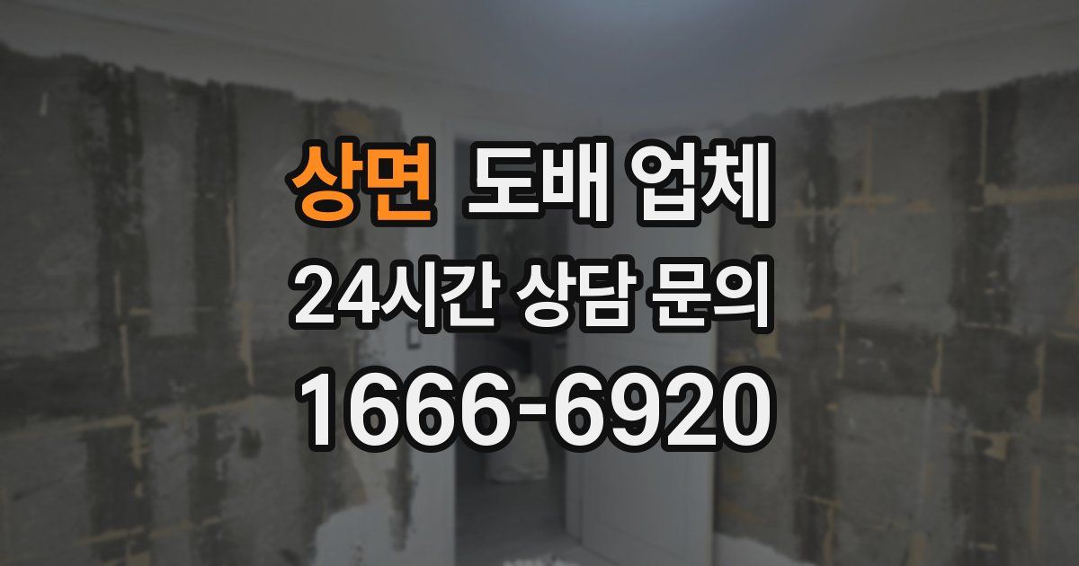 상면 도배 업체