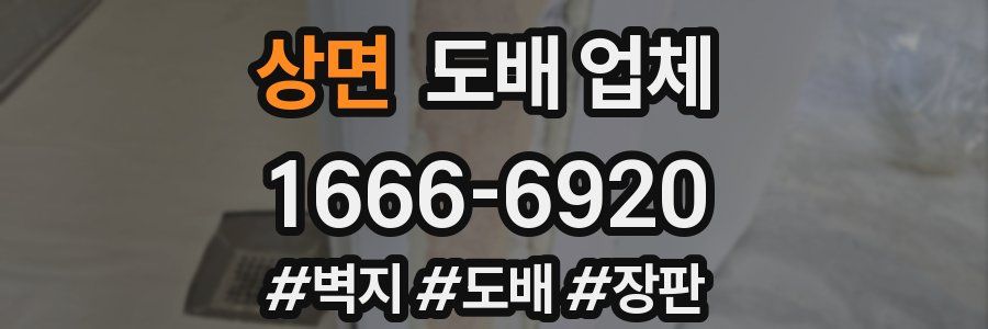 상면 도배 업체