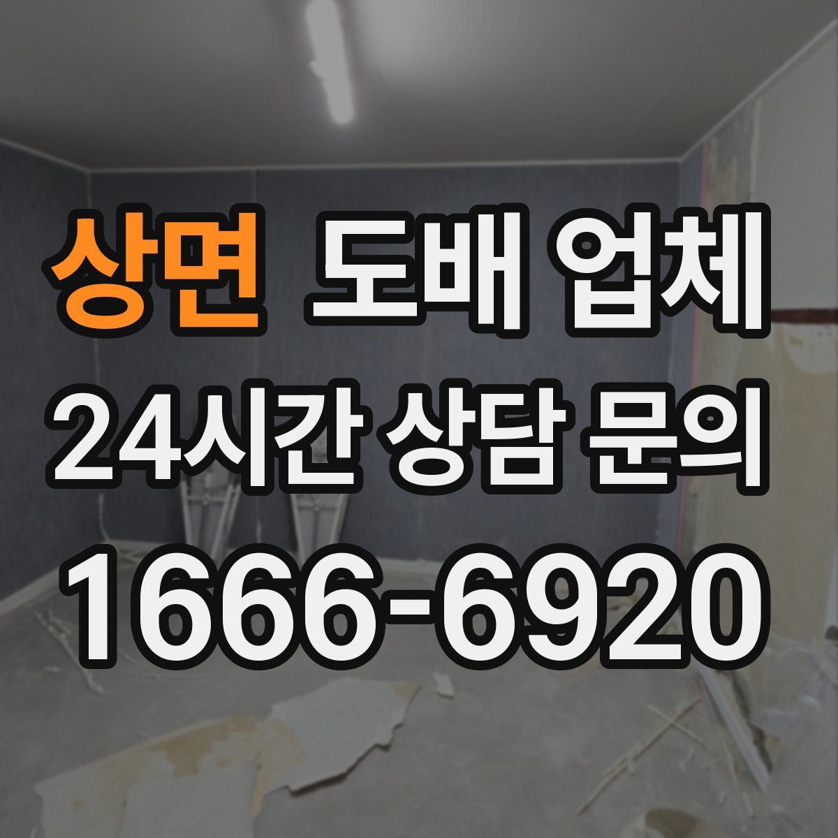 상면 도배 업체