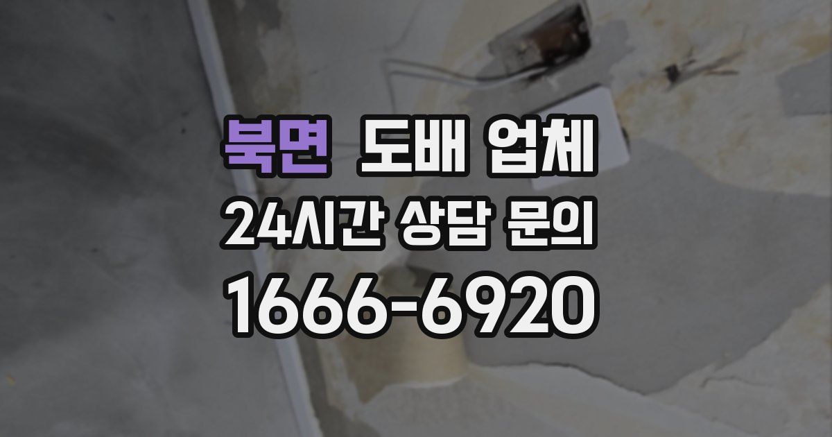 북면 도배 업체