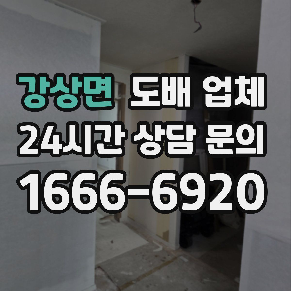 강상면 도배 업체