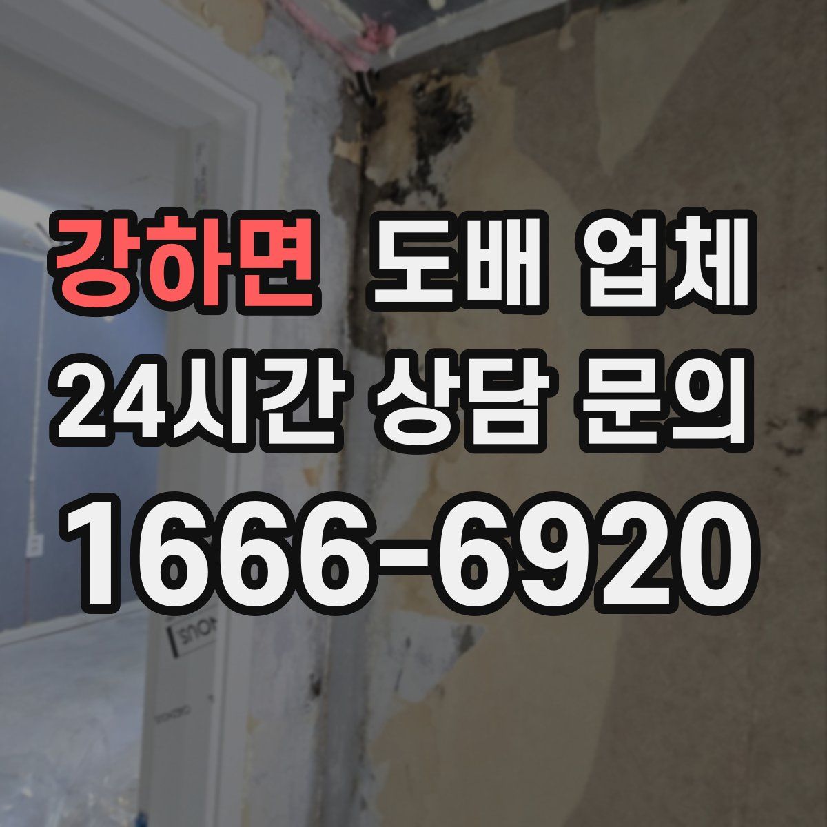 강하면 도배 업체