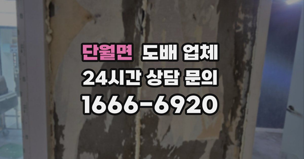 단월면 도배 업체