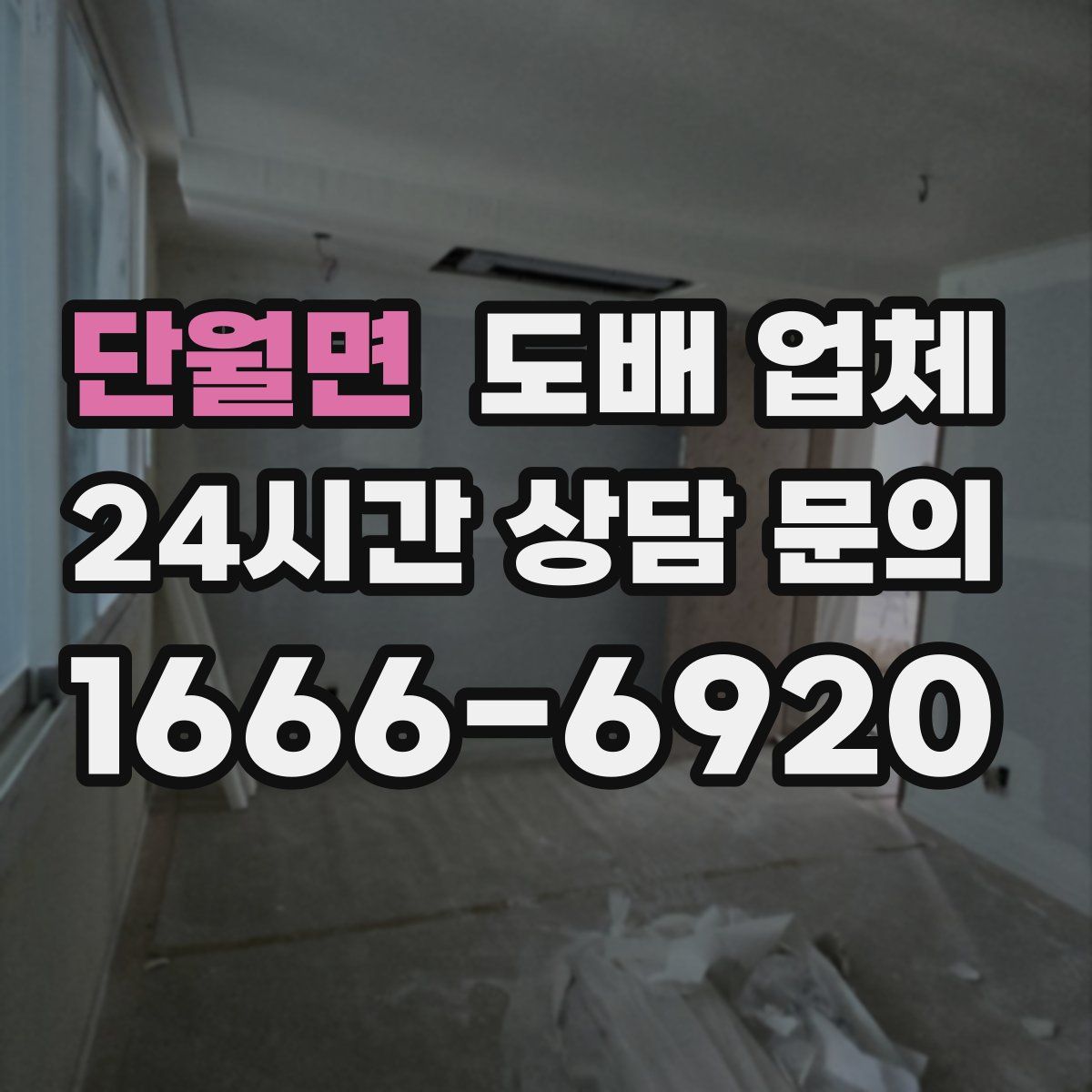단월면 도배 업체