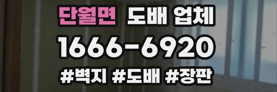 단월면 도배 업체
