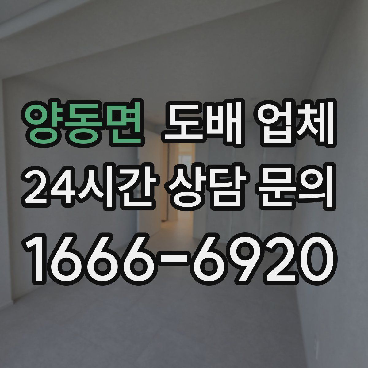 양동면 도배 업체