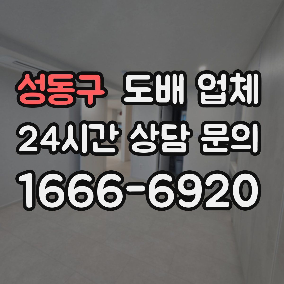 성동구 도배 업체