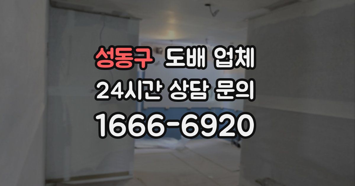 성동구 도배 업체