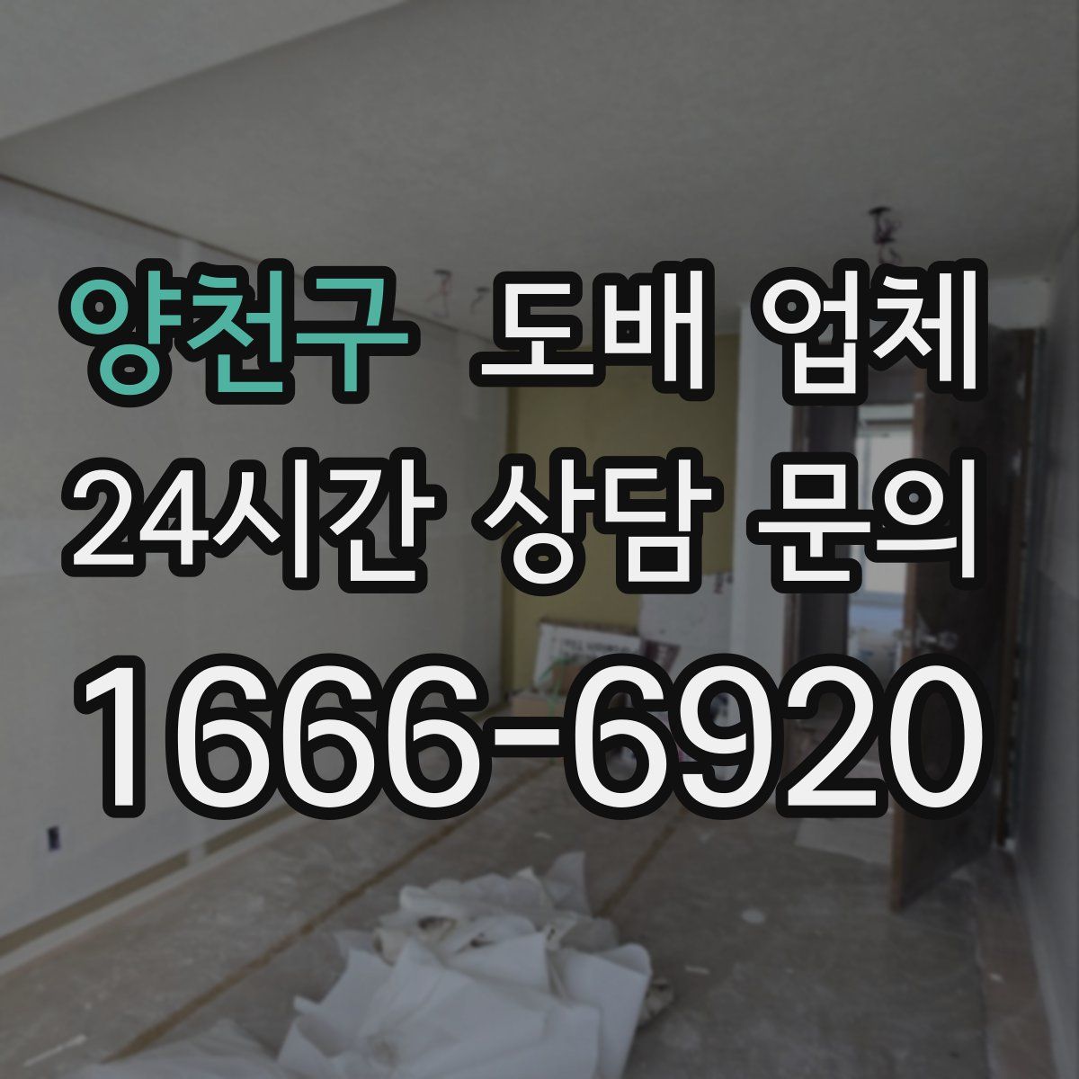양천구 도배 업체