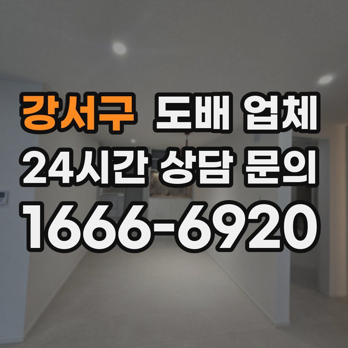 강서구 도배 업체