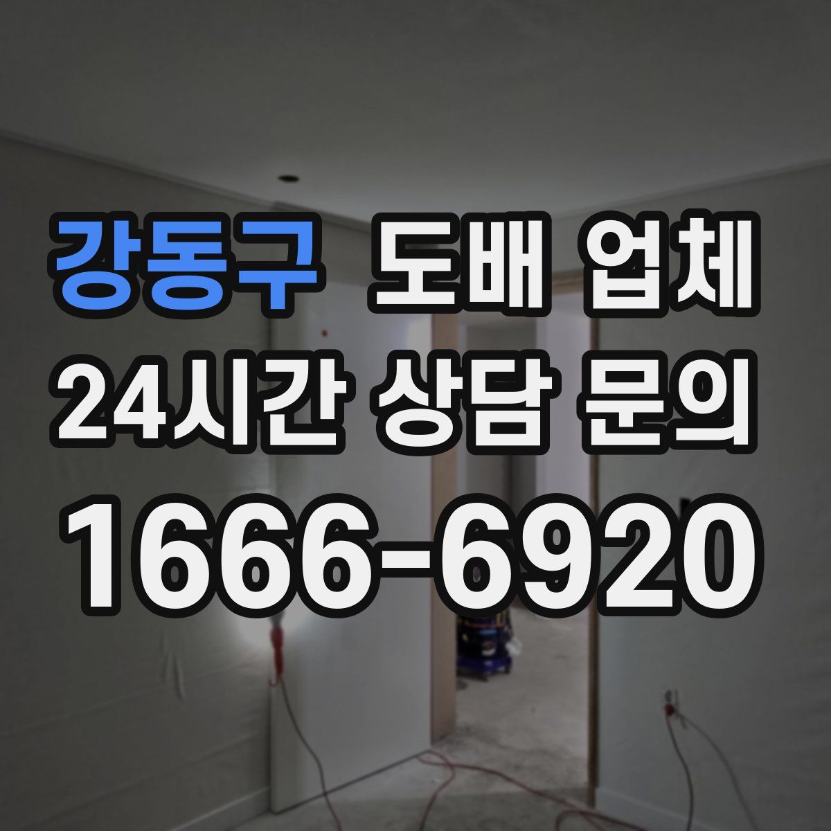 강동구 도배 업체