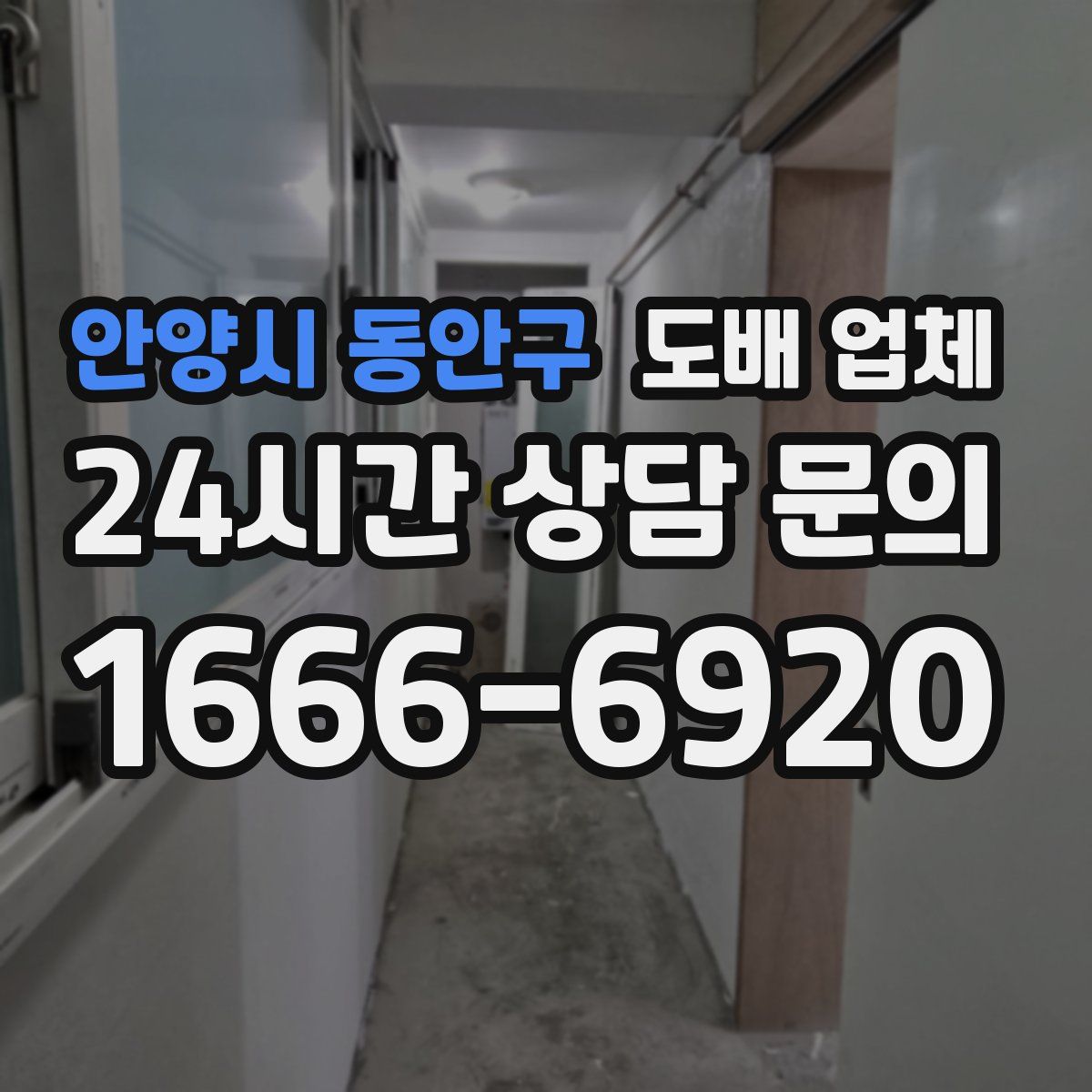 안양시 동안구 도배 업체