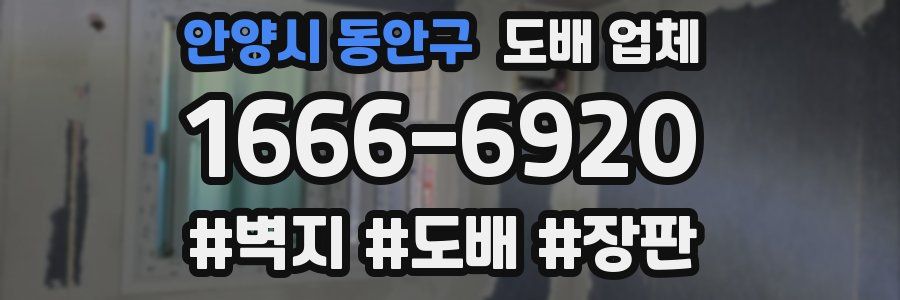 안양시 동안구 도배 업체