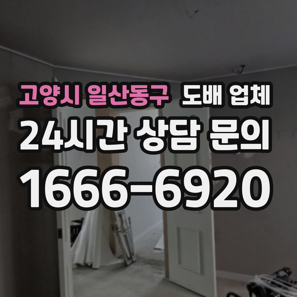 고양시 일산동구 도배 업체