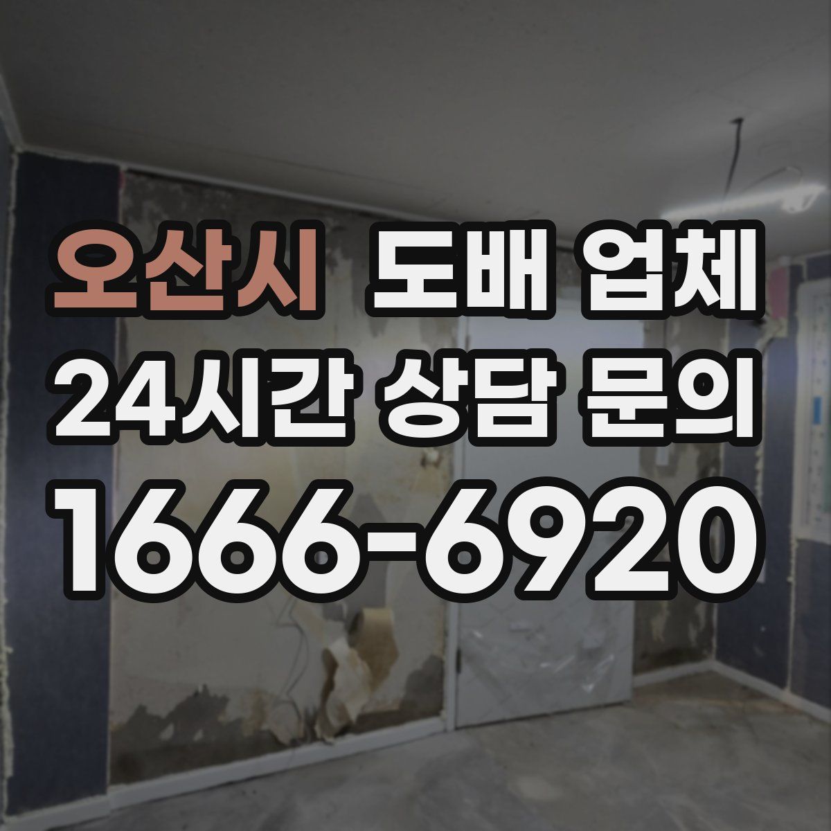 오산시 도배 업체