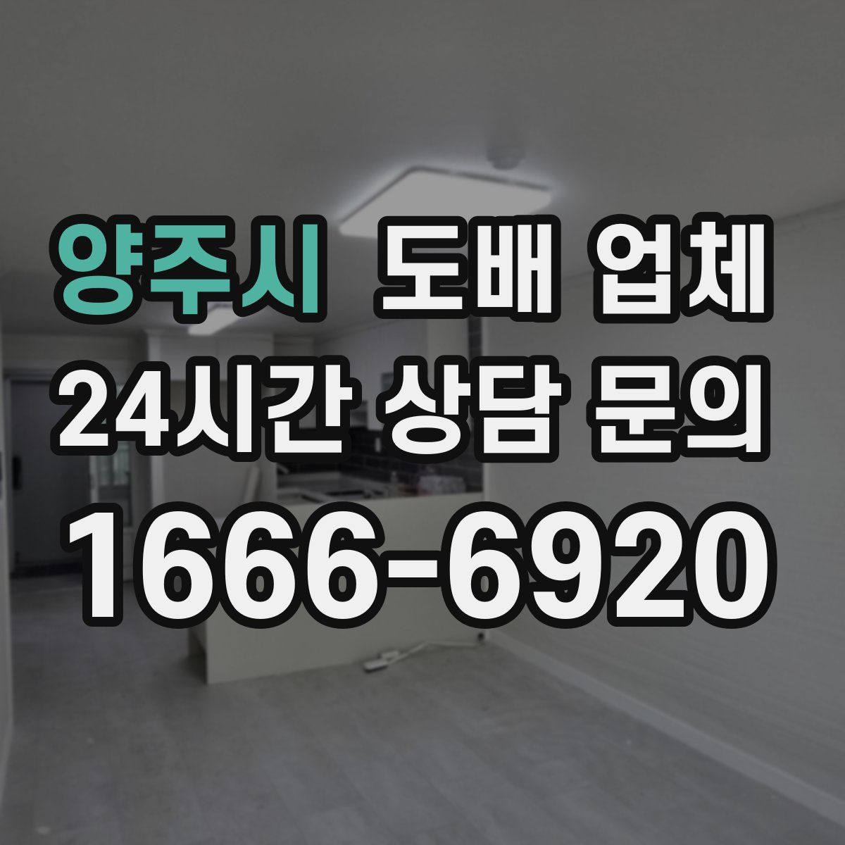 양주시 도배 업체