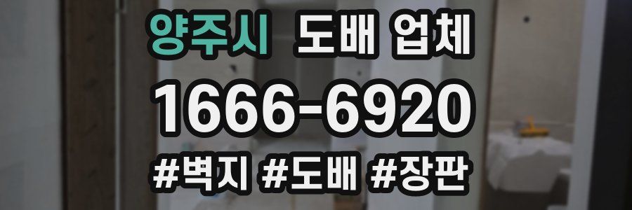 양주시 도배 업체
