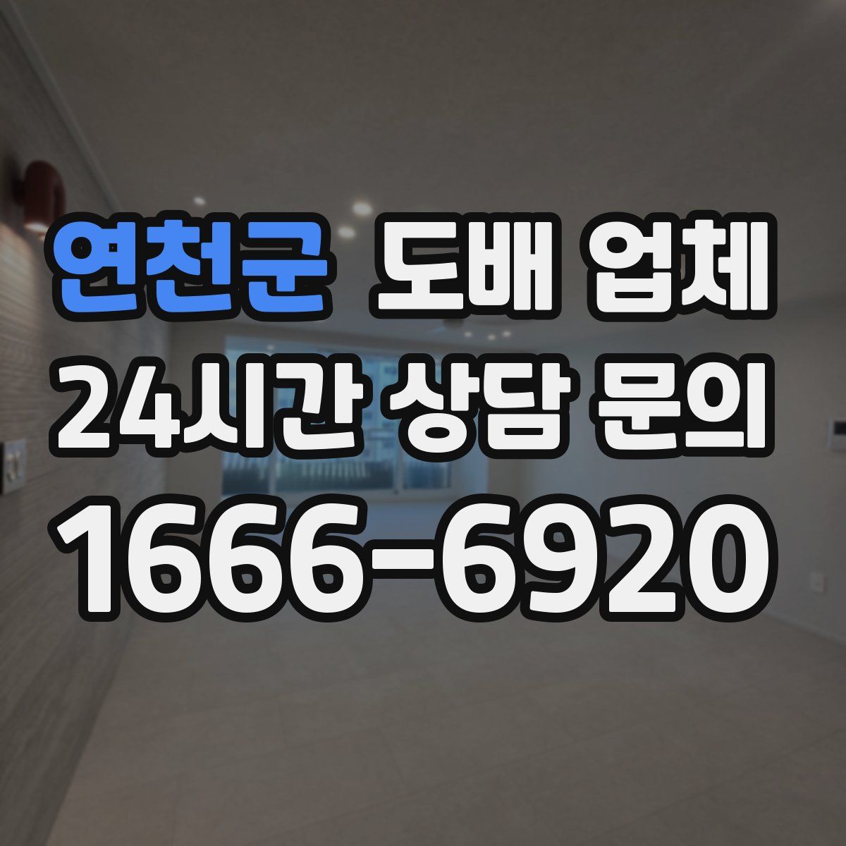 연천군 도배 업체