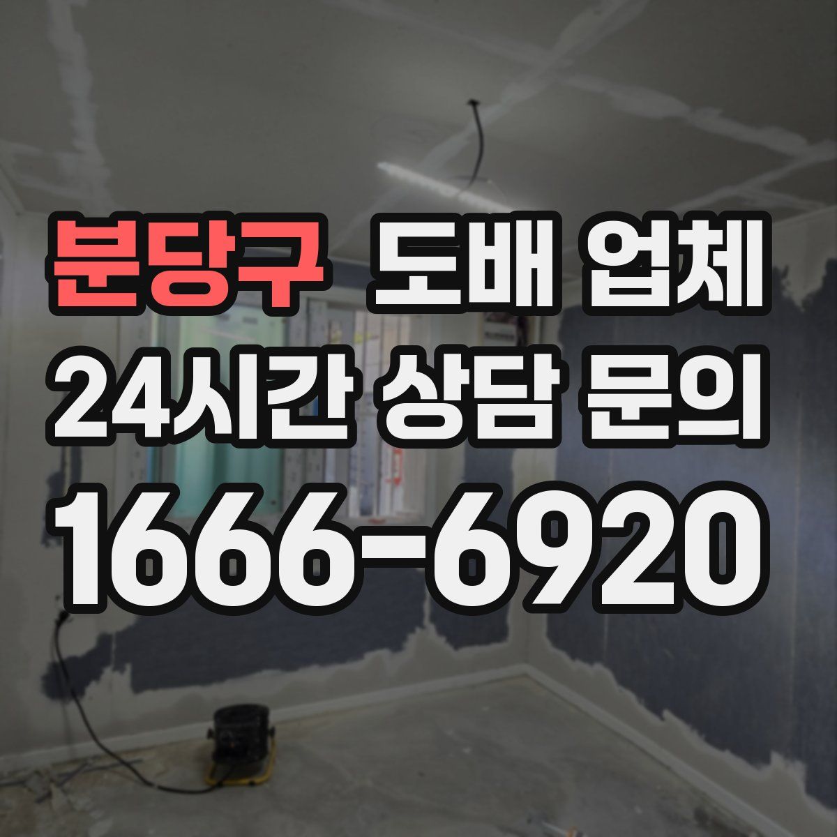분당구 도배 업체