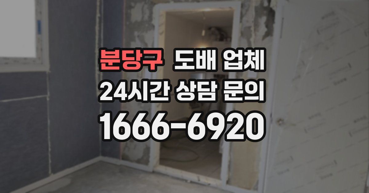 분당구 도배 업체