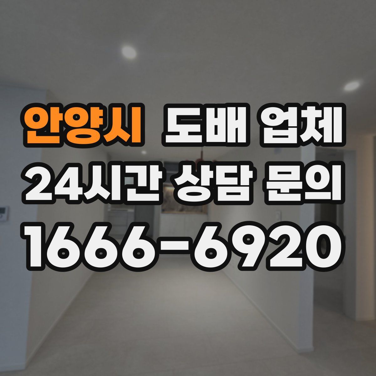 안양시 도배 업체