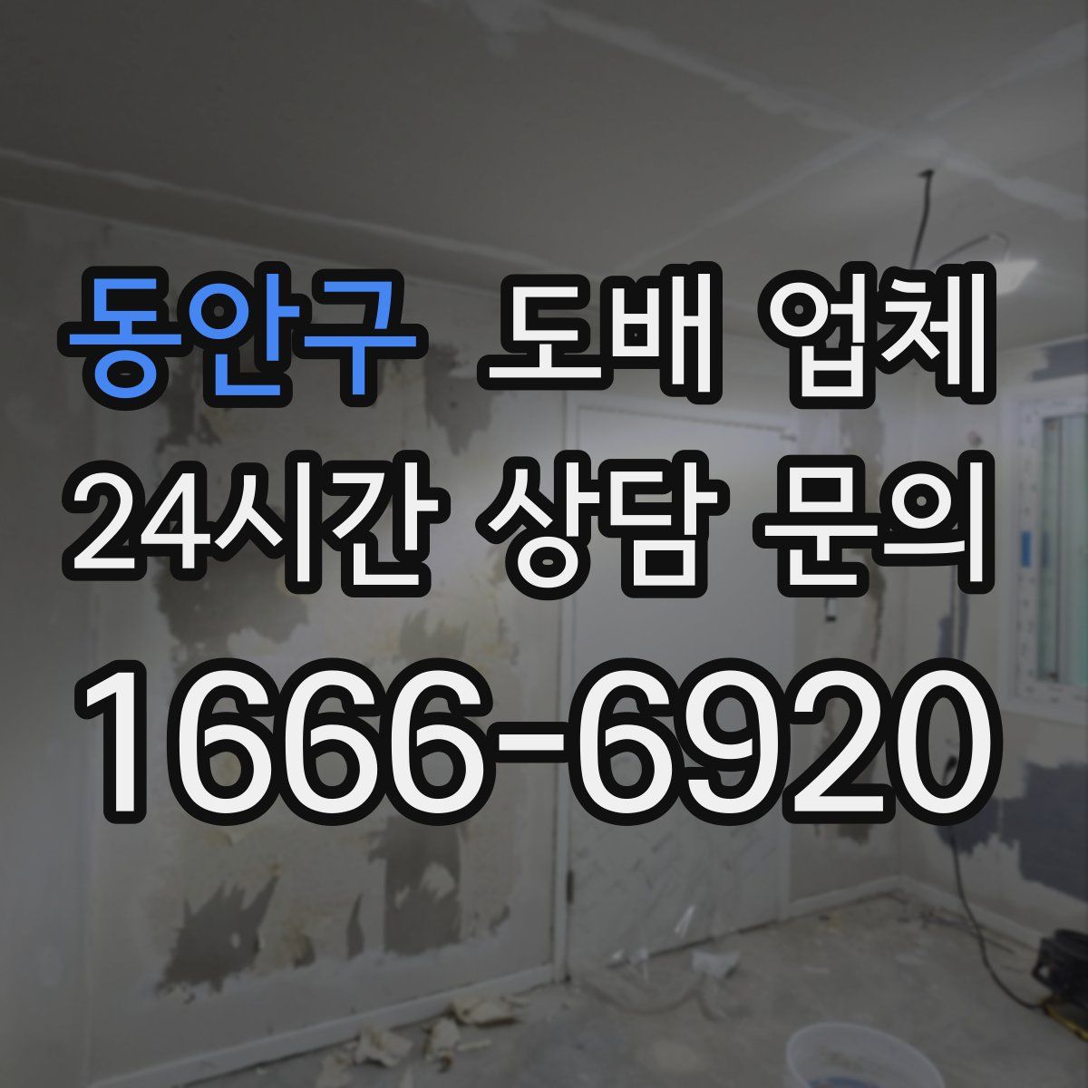 동안구 도배 업체