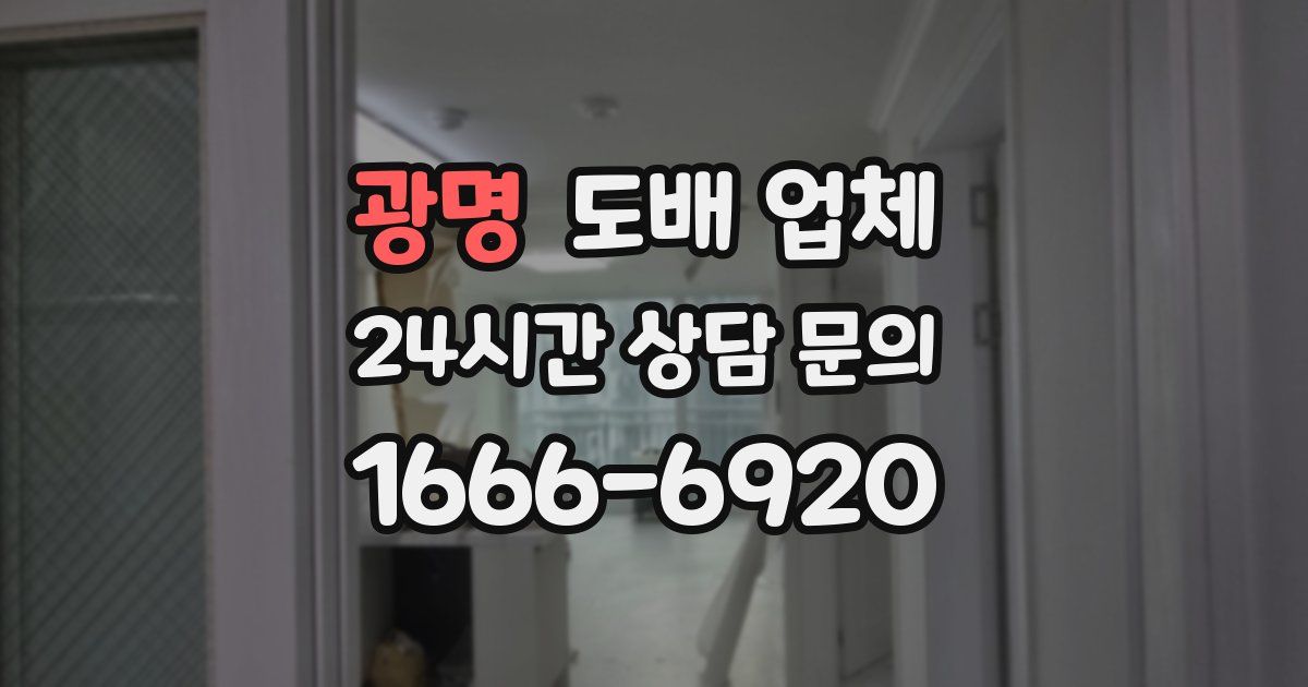 광명 도배 업체