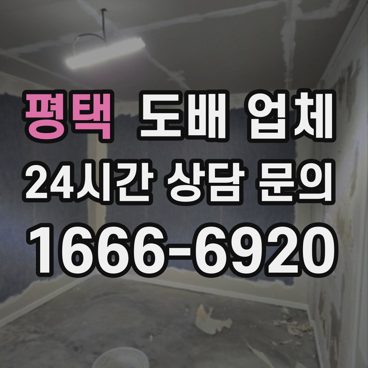 평택 도배 업체