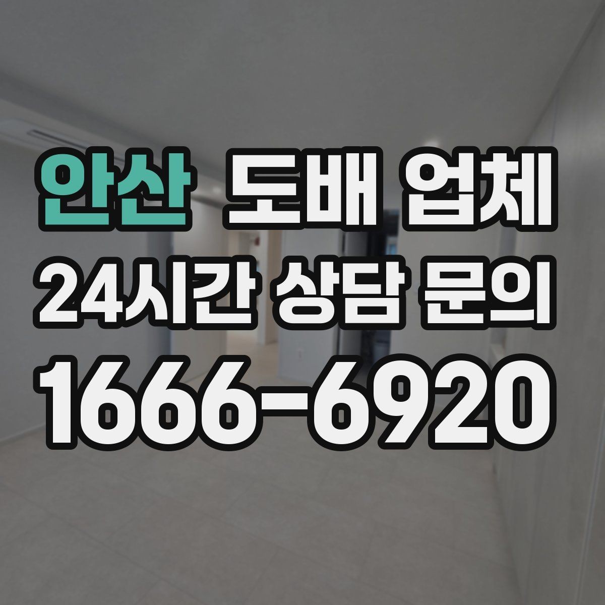 안산 도배 업체 실내 분위기 바꾸는 벽지 선택 팁