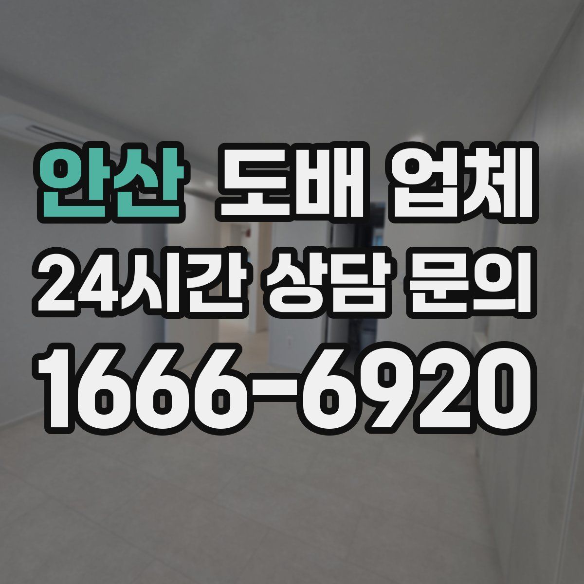 안산 도배 업체