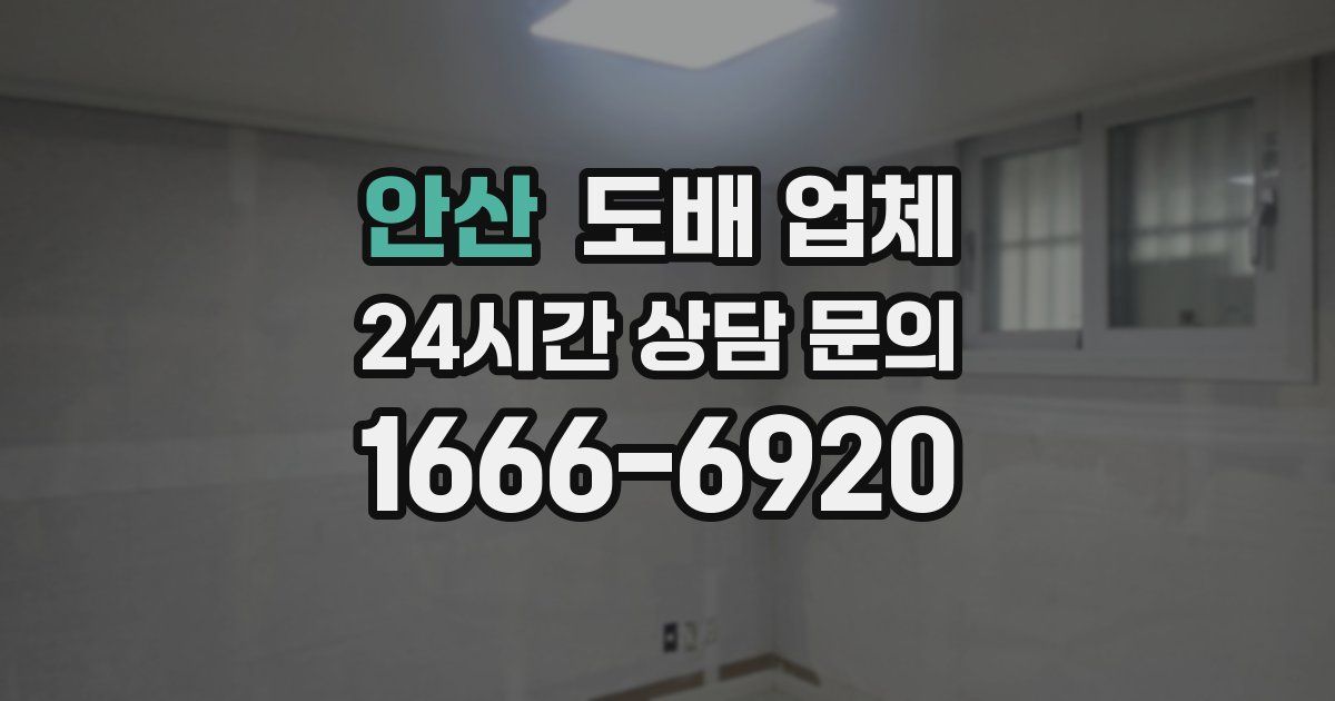 안산 도배 업체
