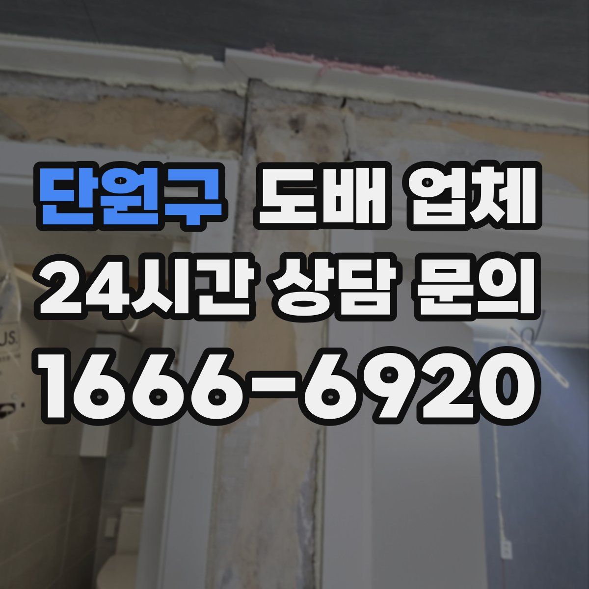 단원구 도배 업체