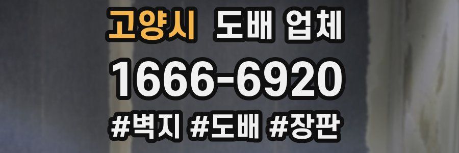 고양시 도배 업체
