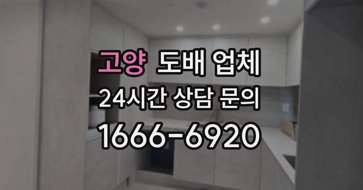 고양 도배 업체
